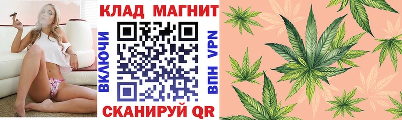 Купить закладку Сольвычегодск Alpha-PVP  Меф  Гашиш  Каннабис  COCAIN 