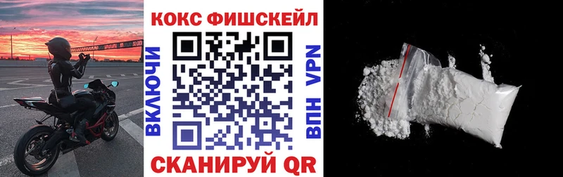Кокаин FishScale  Сольвычегодск 