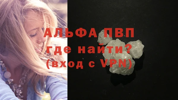гидра Алексин