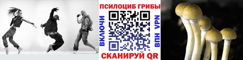 ссылка на мегу ссылка  что такое   Сольвычегодск  Галлюциногенные грибы Psilocybe 